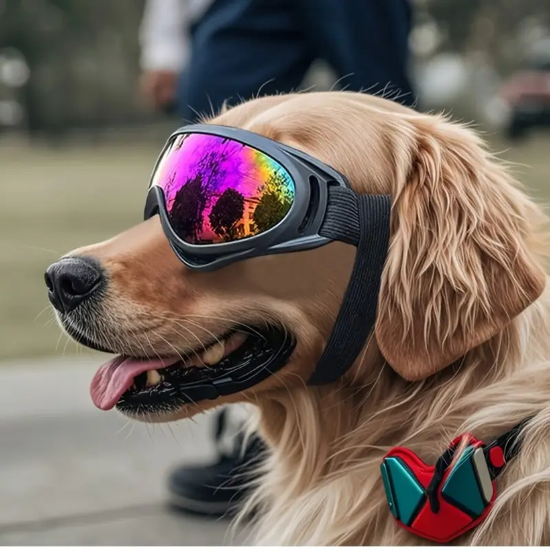 Gafas de sol tácticas para perros