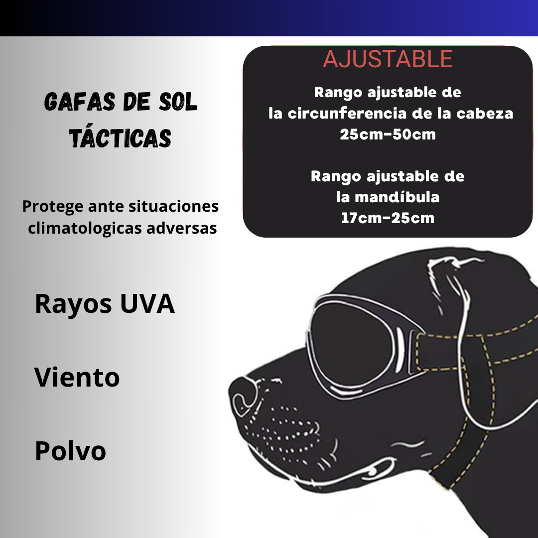 Gafas de sol tácticas para perros